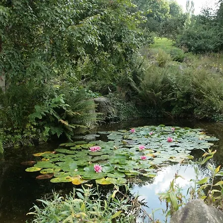Les De Catherine, La Si Calme Nancy