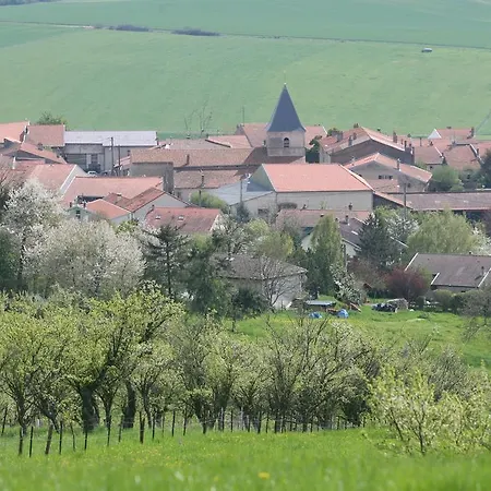 Daire Les De Catherine, La Si Calme Nancy